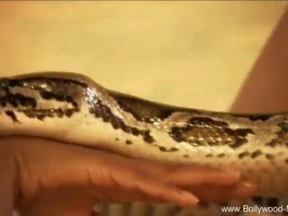 Bollywood και ο enchanting snake